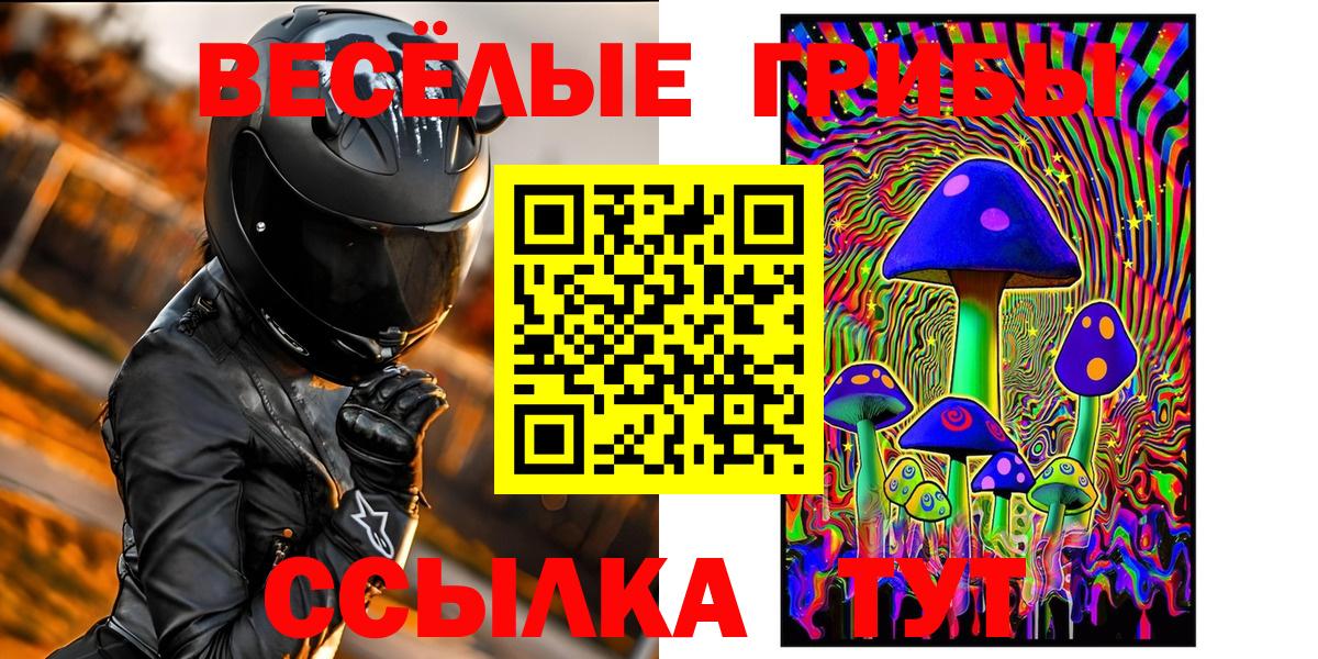 Галлюциногенные грибы GOLDEN TEACHER  Псилоцибиновые грибы GOLDEN TEACHER  Вход с VPN  Красноармейск 
